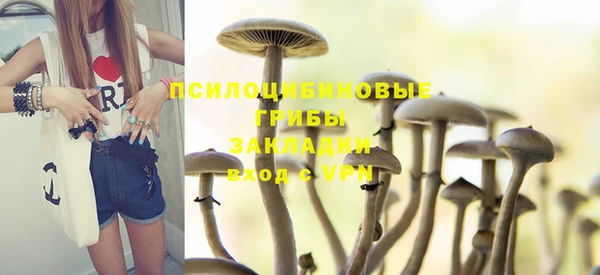 герыч Новозыбков