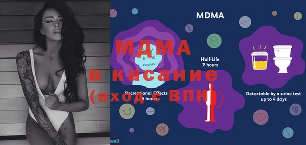 сатива Новокубанск