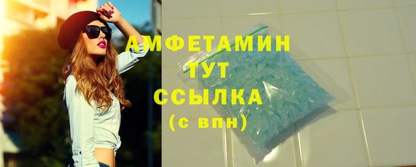 сатива Новокубанск