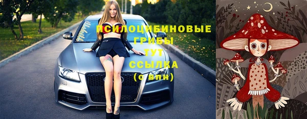 герыч Новозыбков