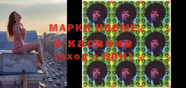 сатива Новокубанск