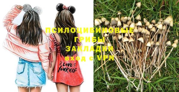 сатива Новокубанск