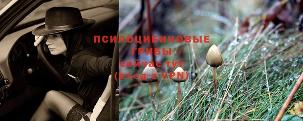 a pvp Новодвинск