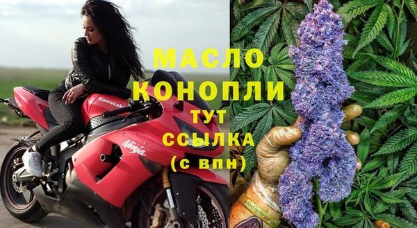 сатива Новокубанск
