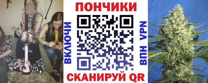 Бошки марихуана план  omg как зайти  Покровск  наркота 