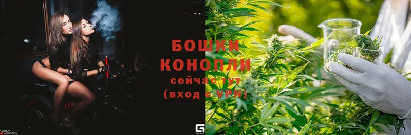 kraken как войти  Покровск  Бошки марихуана Bruce Banner  хочу наркоту 